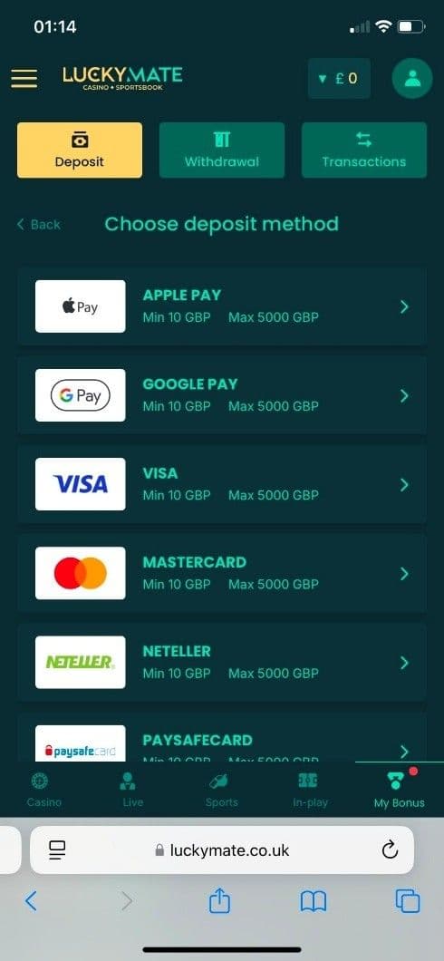 Lucky Mate Bonuses Guide