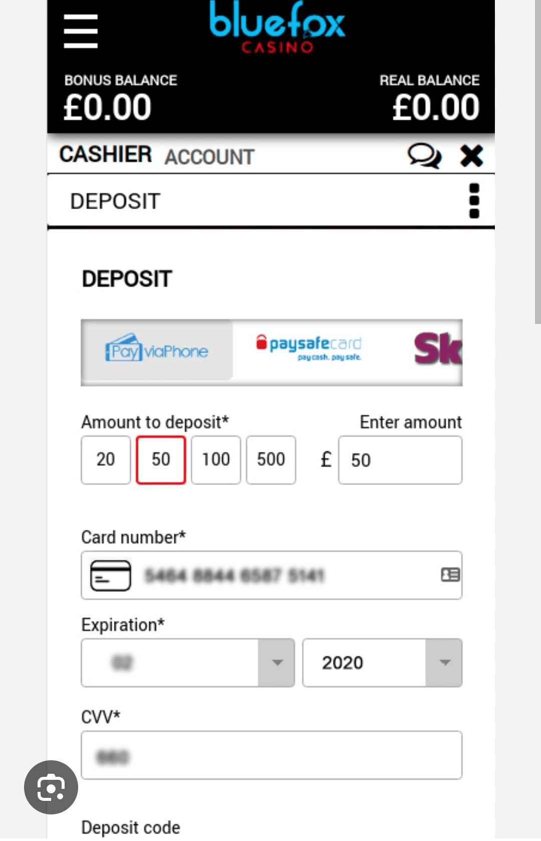 Bluefox Casino Deposit Guide