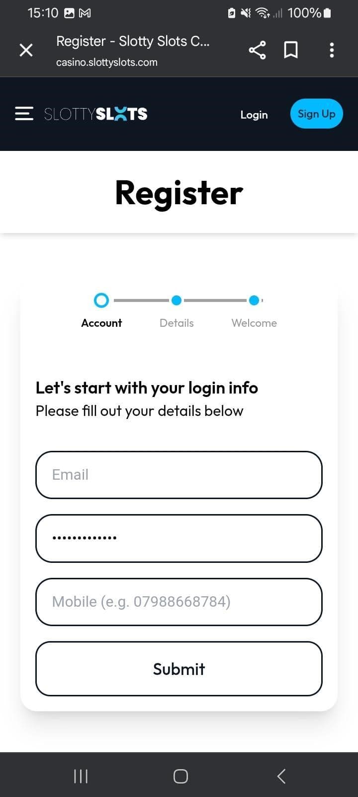 Enter details like name, email, and address.