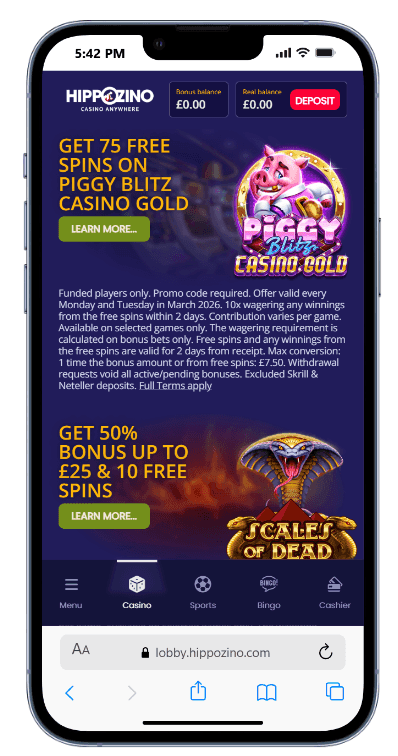 Hippozino Casino Promotions 