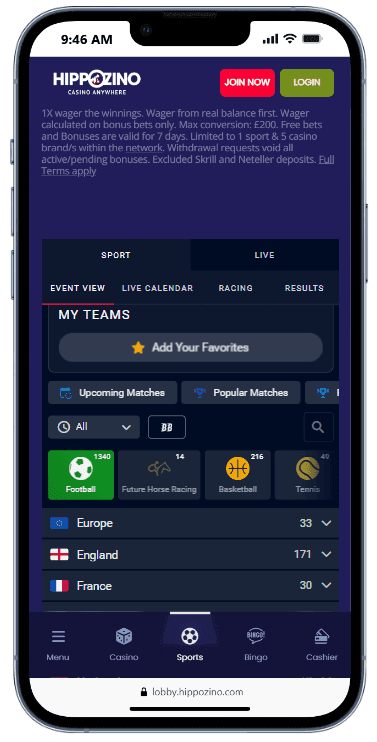 Hippozino Mobile Experience  