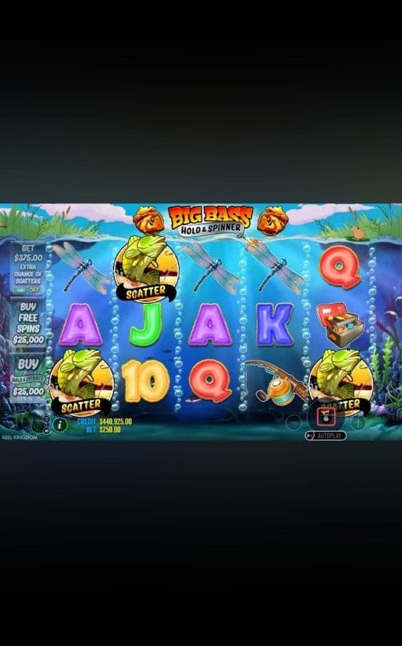 Look for bonus features 