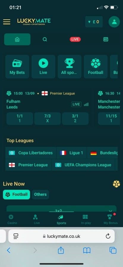 Lucky Mate User Experience & Website Design.jpg