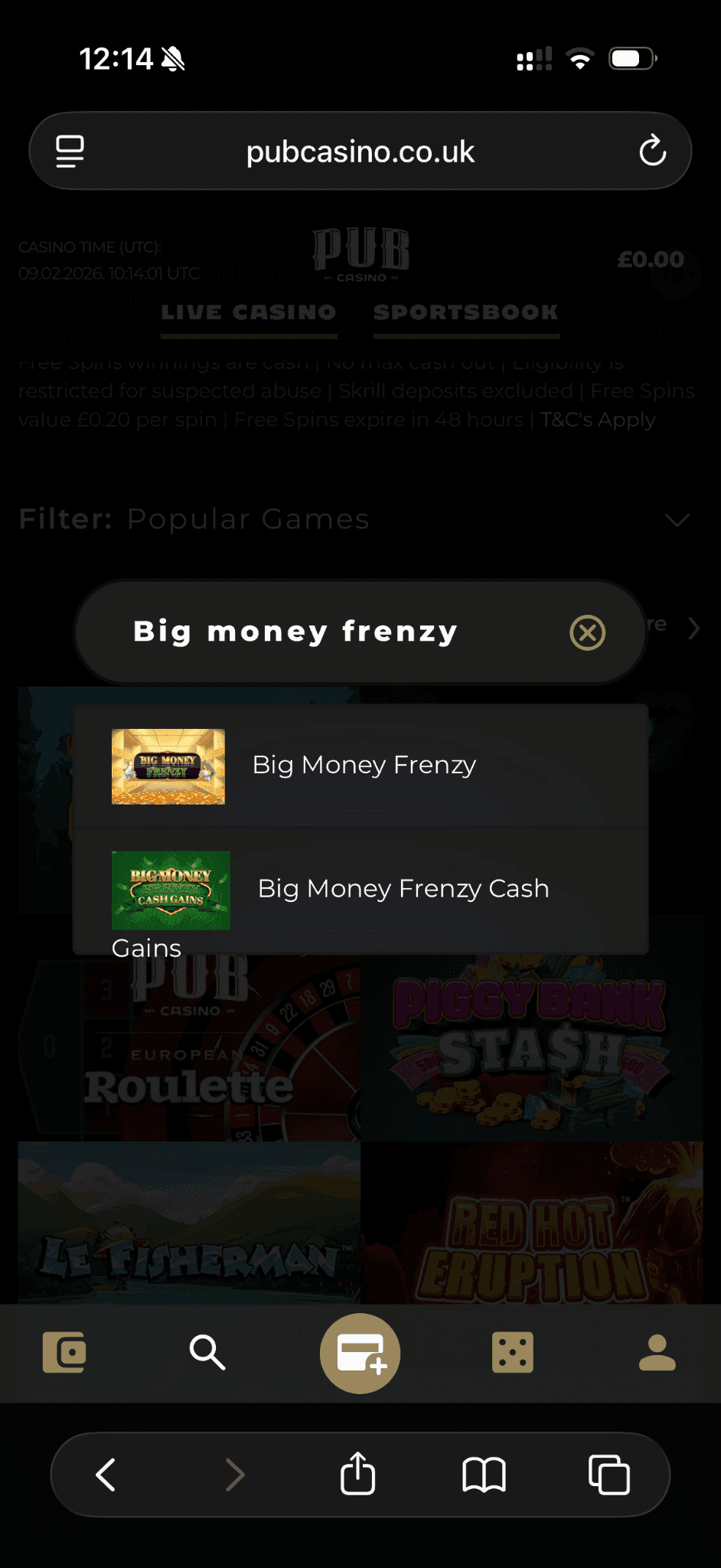 Big Money Frenzy Cash Gains Slot for Real Money Playing Guide