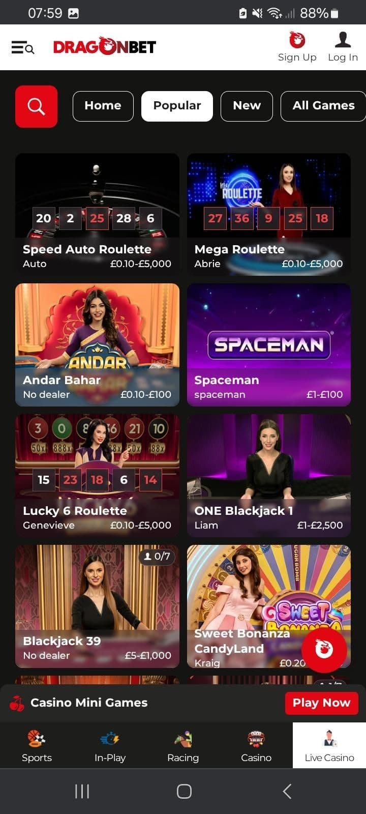 Real Casino Experience at Dragon Bet