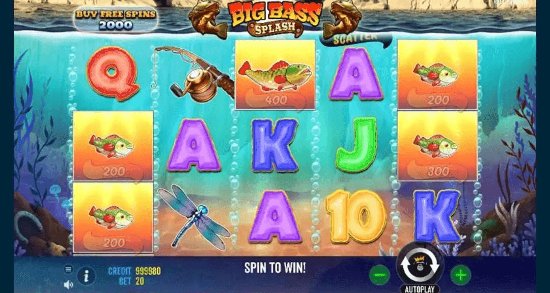 Set Your Bet.png