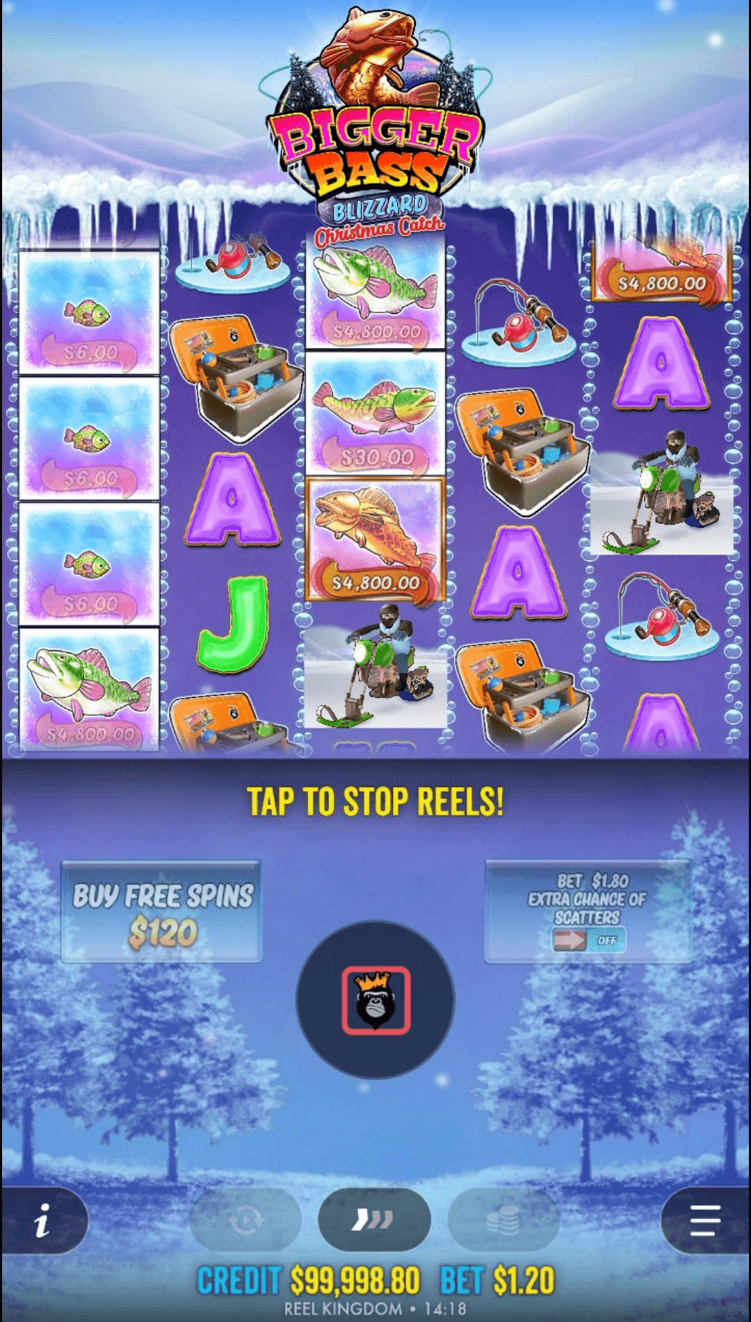 Spin the Reels bigger bass