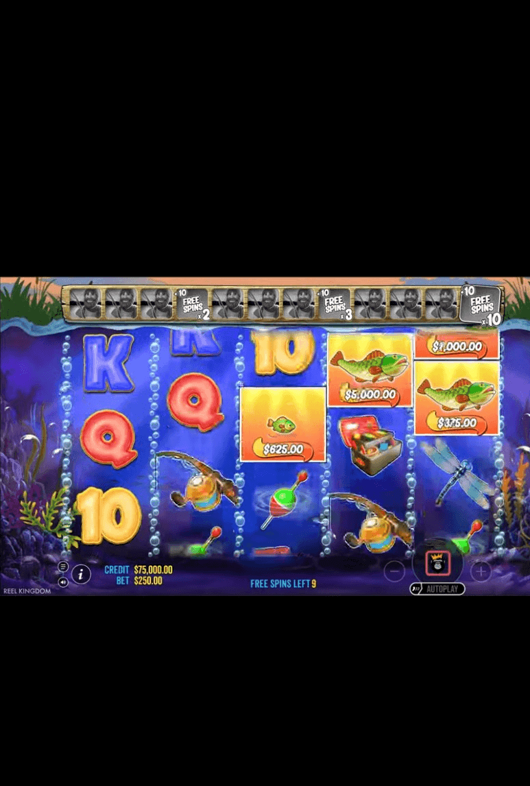 What is Big Bass Hold & Spinner Slot