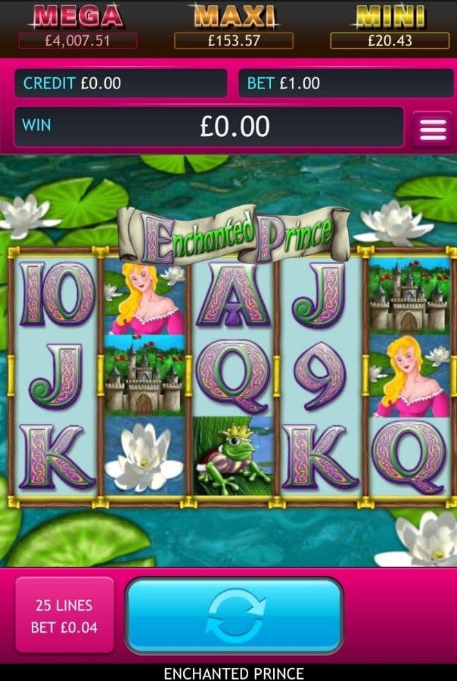 What is Enchanted Prince Slot.jpg