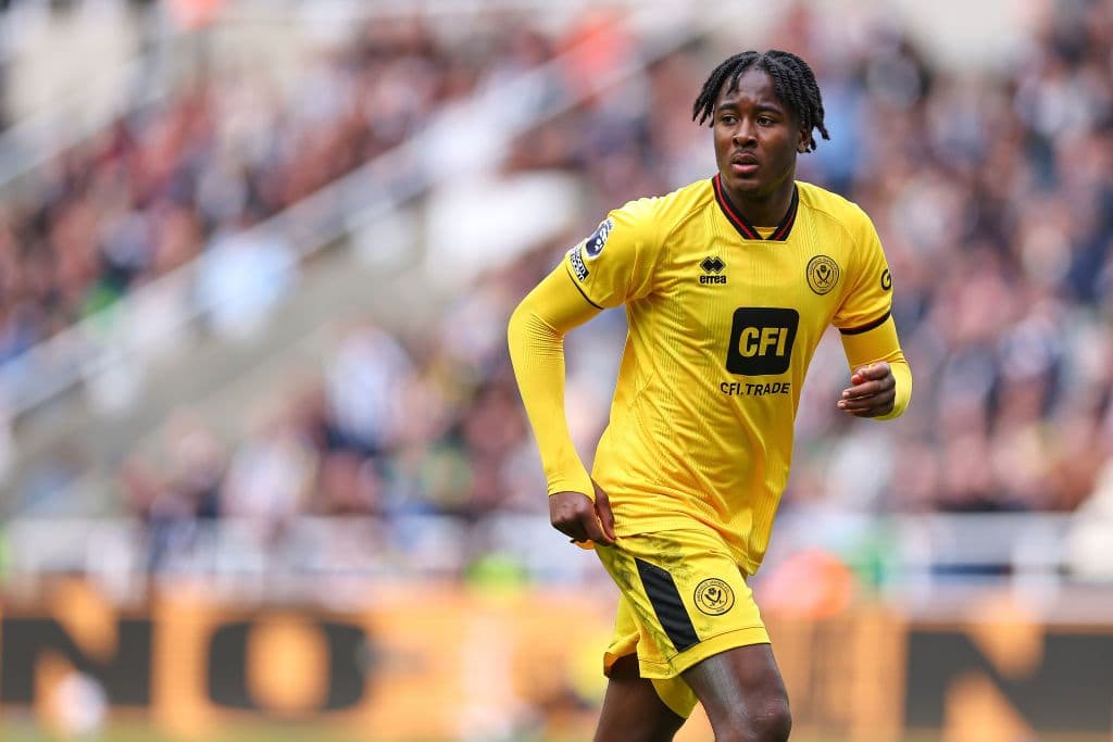 Newcastle United v Sheffield United - Premier League