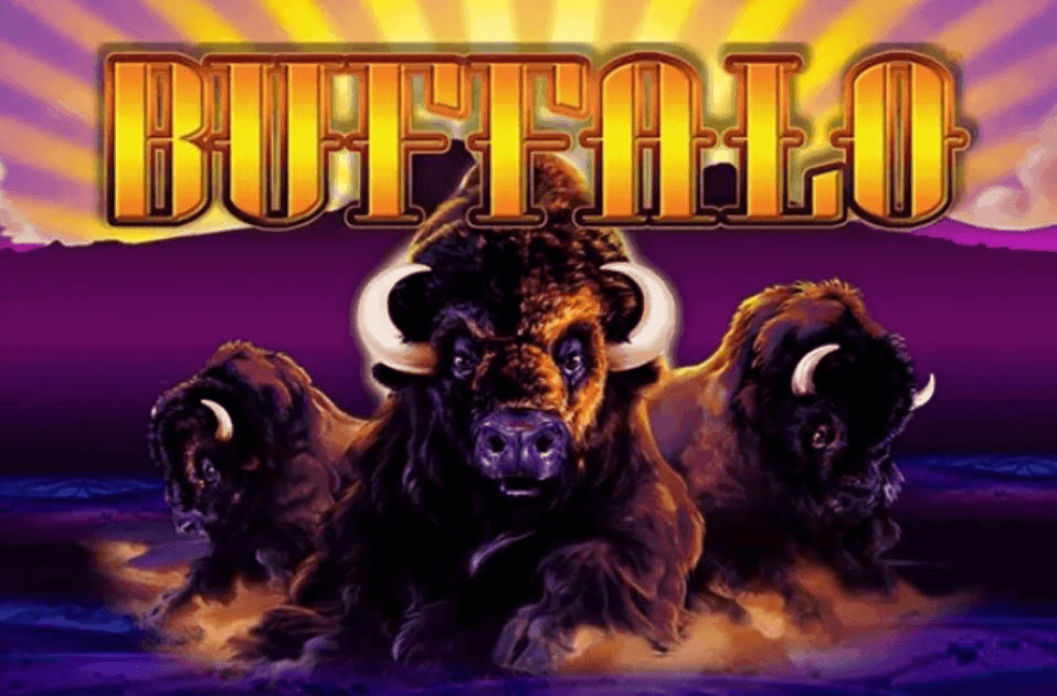 Buffalo Slot Review