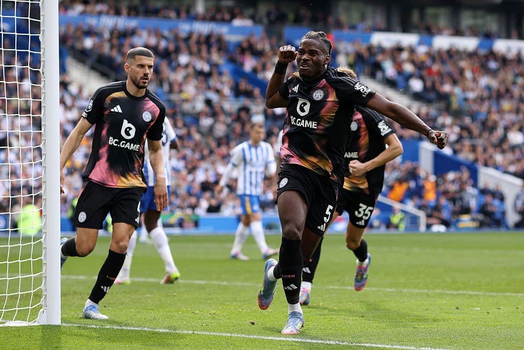 Brighton & Hove Albion FC v Leicester City FC - Premier League