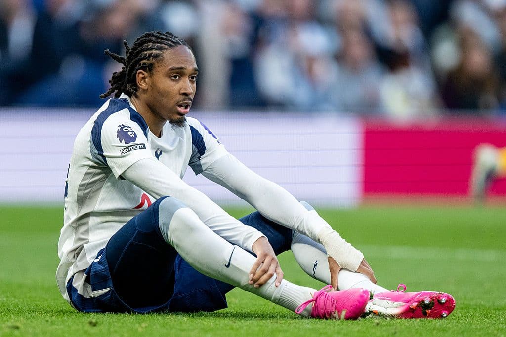 Tottenham Hotspur v Brighton & Hove Albion - Premier League